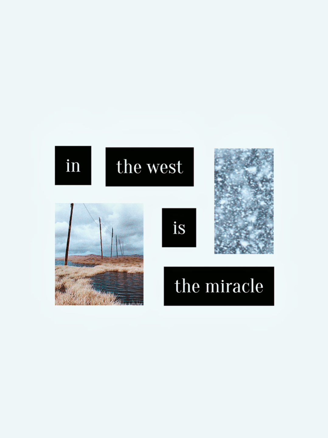 in the west is the miracle  #discoelysium #fyp