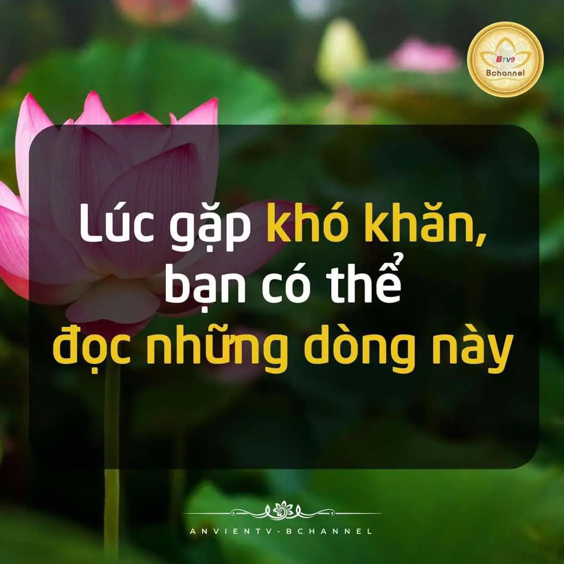 Nếu cuộc sống chỉ toàn suôn sẻ và dễ dàng, có lẽ chúng ta sẽ không cảm nhận hết giá trị của những niềm vui, hạnh phúc hay thành công. Khó khăn giống như những gam màu đậm, tạo nên chiều sâu và sự phong phú cho bức tranh cuộc đời. Cũng như gia vị trong món ăn, đôi khi phải có chút đắng, cay, mặn ngọt mới làm bật lên hương vị thực sự. Hãy xem khó khăn như một phần tất yếu, giúp chúng ta học cách kiên nhẫn, mạnh mẽ hơn và trân trọng hơn những gì mình có.  Những lúc bế tắc, hãy cho mình thời gian để nghỉ ngơi, nhìn nhận vấn đề từ nhiều góc độ khác nhau và nhớ rằng mọi khó khăn đều có giải pháp. Hãy tin rằng sau cơn mưa, trời lại sáng, và mỗi trải nghiệm đều là cơ hội để trưởng thành.