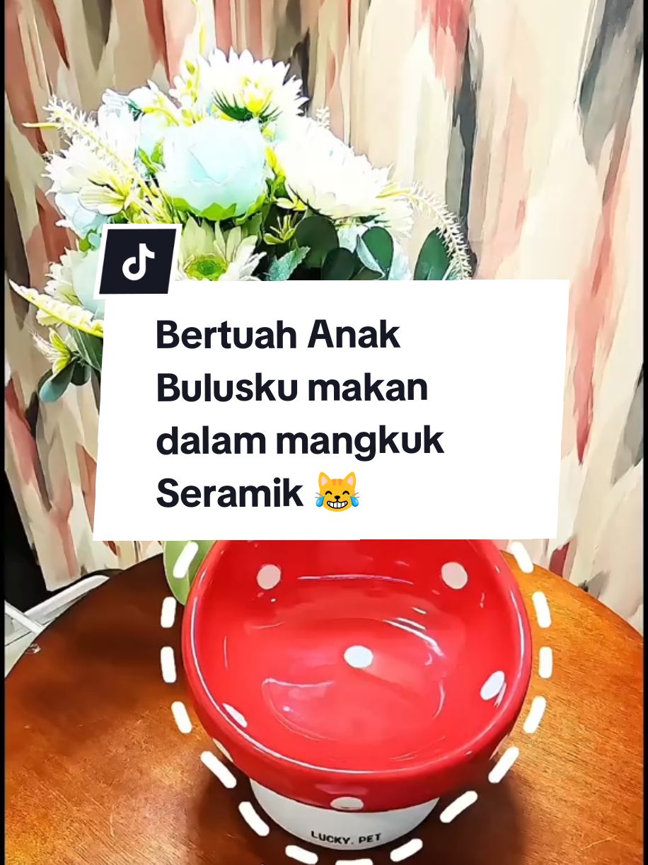 Korang ada kucing yang suka sepahkan makanan? Mangkuk makanan seramik ni penyelamat korang! 🤩 Berat, stabil, dan mudah dibersihkan. Rekaan moden yang elegan sesuai untuk rumah korang, plus selamat untuk kesihatan kucing kesayangan. Nak kucing makan dengan lebih selesa? Klik BEG KUNING sekarang! 🐾 PORCELAIN/ceramic CAT'S Food BOWL Berat dan stabil: Tidak mudah berganjak atau terbalik semasa kucing makan. Anti slip: Mangkuk kekal di tempat walaupun kucing aktif. Mudah dibersihkan: Permukaan licin menjadikannya senang dicuci. Selamat untuk kucing: Tidak mengandungi bahan toksik, sesuai untuk makanan basah atau kering. Tahan calar: Permukaan seramik tidak mudah tercalar, tahan lebih lama. Tahan panas dan sejuk: Sesuai untuk makanan atau air suam dan sejuk. Anti bakteria: Seramik tidak menyerap bau atau bakteria, memastikan kebersihan makanan. Reka bentuk elegan: Nampak moden, sesuai untuk rumah bergaya minimalis. Mesra alam: Dibuat daripada bahan yang lebih lestari berbanding plastik. CUBA CHECK BEG KUNING ada design BUNGA COLOURFUL jugak tau.. #catceramicbowl #mangkukseramik #bekasmakankucing #mangkukkucing #catfoodtips #catfood 