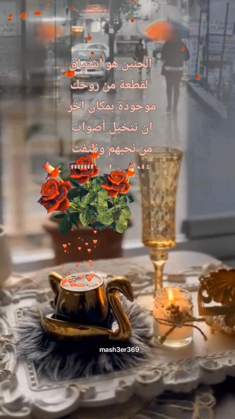 إشتقتلك،  good evening,  مساء الخير، مساء الشوق،مساء الحب،مسائيات، حالات مساء #مساء_الخير #مساء_الحب_والسعاده #مساء_الخير_يا_وجوه_الخير #مساء_الحب #حالات #حالات_واتس #ستوريات #حبيبي #حبيبتي #حب #حنين #شوق #عرب #اصالة_نصري  #السعودية_الكويت_مصر_العراق_لبنان #النغرب_تونس_ليبيا_دبي_قطر #الاردن #تركيا #story #foruyou #foryourpage #tik_tok #CapCut @مشاعر 