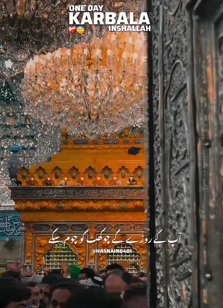 One Day Inshallah 🥺❤️‍🩹 Karbala Ishq E Hussaini (as) Status   . . #nadeemsarwar#FarhanAliwaris#MirHasanMir#ForYou  #Hussainimedia  #Alishanawar  #alijee  #hussaini  #momino  #karbala  #moulaali  #noha  #status  #nohastatus  #fypシ  #viral  #viralvideo  #tiktok  #edit  #yahussainعُ🙏🏻🚩🚩 