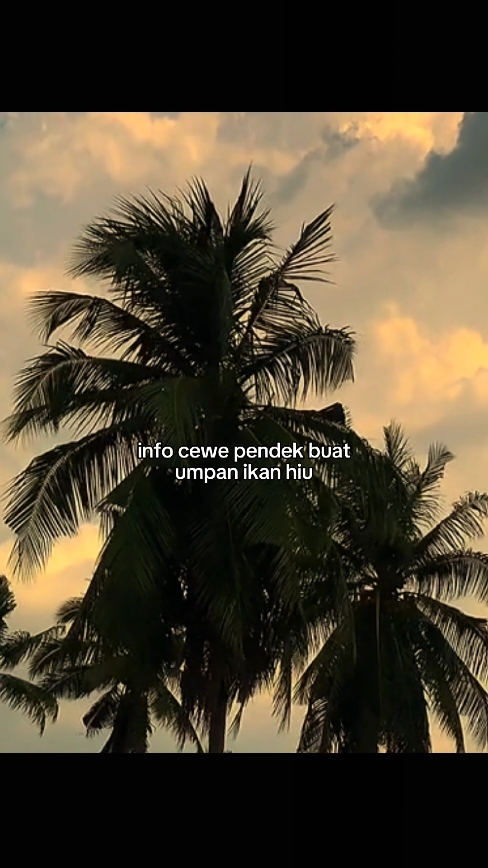 kasih tau klo nemu #quotes #foryou #fyp 