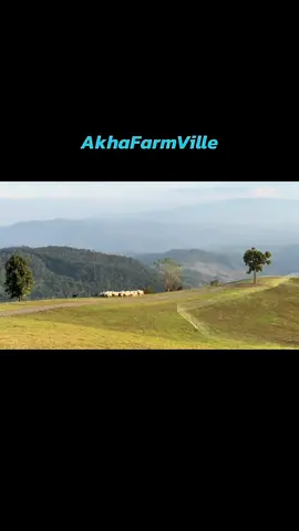 #akhafarmville 