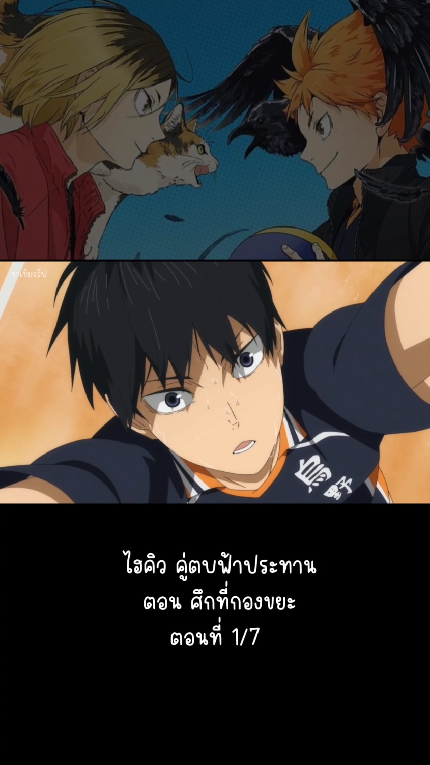 Haikyu!! ไฮคิว!! คู่ตบฟ้าประทาน ตอน: ศึกที่กองขยะ #ไฮคิว #ไฮคิวคู่ตบฟ้าประทาน🏐 #Haikyuu #อนิเมะ 