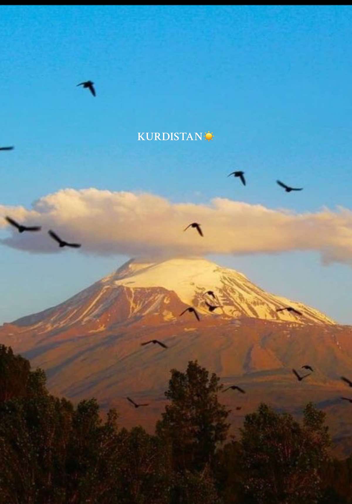 welat🕊️. #kurdisch #kurdish #kurdi #kurd #kurdishtiktok #kurdischemusik #children #kurdistan #kürtçe #merdin #cizirabotan #amed #dersim #zaxo_duhok_hewler_slemani_hawler #welat #CapCut 