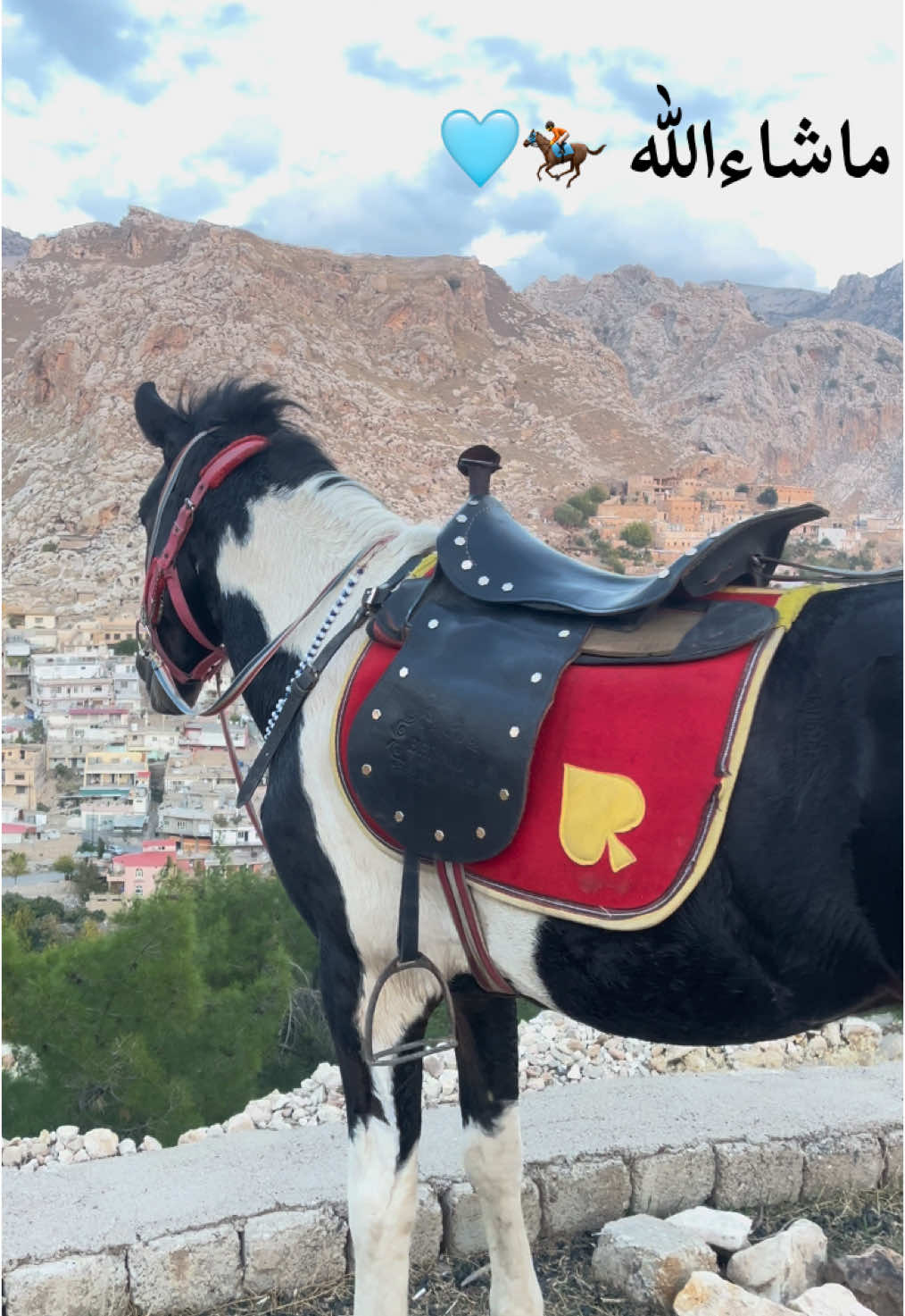 #foryou #fypシ゚viral #شيلادزي❤️ #هەولێر ##زاخو#دهوك #سوران #akre #سوارچاكەکان #horse #