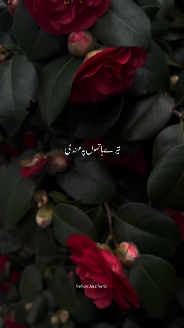 Kahani Suno 🌙💕 || Repost Request || #foryou #foryoupage #grow #aesthetic #songs #Lyrics #1M 