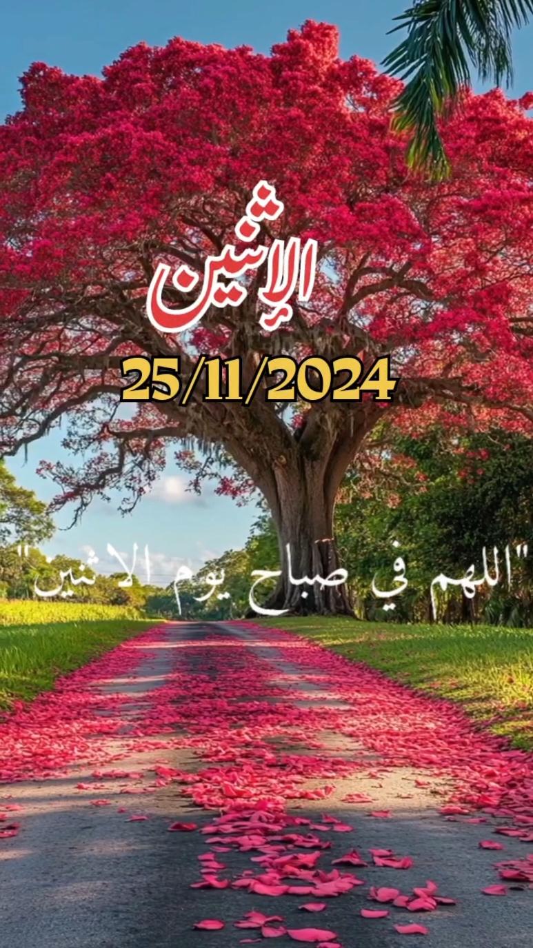 اللهم_في_صباح_يوم الإثنين_يارب #دعاء_يريح_القلوب _أنشر _ اكتب شيء_ سورة الكهف_وصلي على سيدنا محمد ﷺ#اسلاميات_صور_مقاطع_ايات_معلومات_قرآن_مسلم_ادعية_استغفر_الله#fypシ゚viral #1millionaudition #🤲🤲🕋🕋🤲🤲#عيد_سعيد Oh mon Dieu, lundi, Seigneur Oh God, on Monday Lord