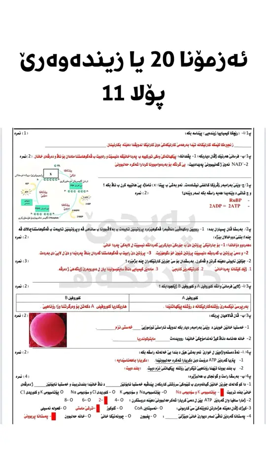 #xandngah #mr.ayoub #خاندنگەهـ #zakho_duhok_hawler_slemani_akre #zakho #dhok #hawler #slemani #halabja #soran #amedi #akre #bardarash #iraq #kurdistan #education #poli12 #student #❤️ 