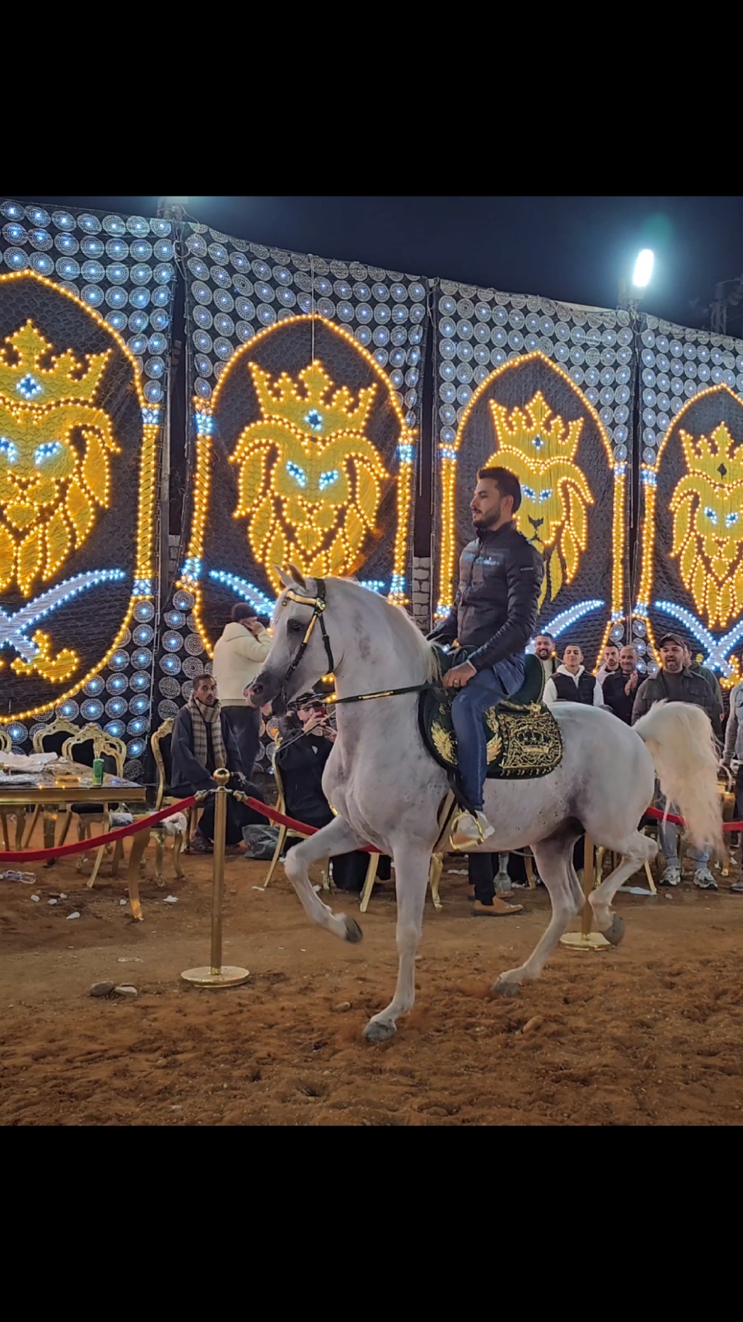 خفيف العمدة ابن بهير الخطير 🔥🧿❤️#رقص #خيول_عربية_اصيلة #خيل_وخياله🐎 #ادب_الخيل #رقص_خيل 