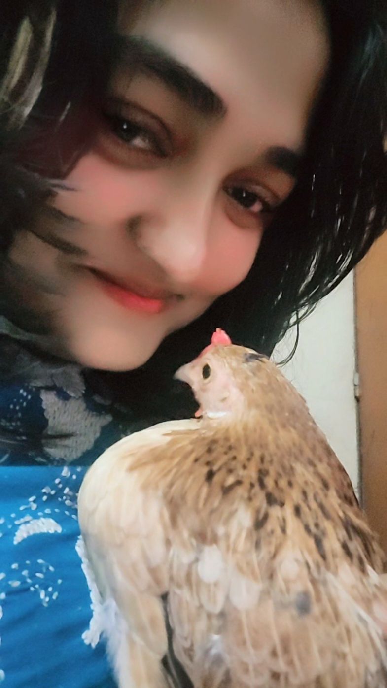 Love 🥰 #viral #chicken #reels #Love #innocent #bengali #girl #trending #tamil #india #bangladesh 