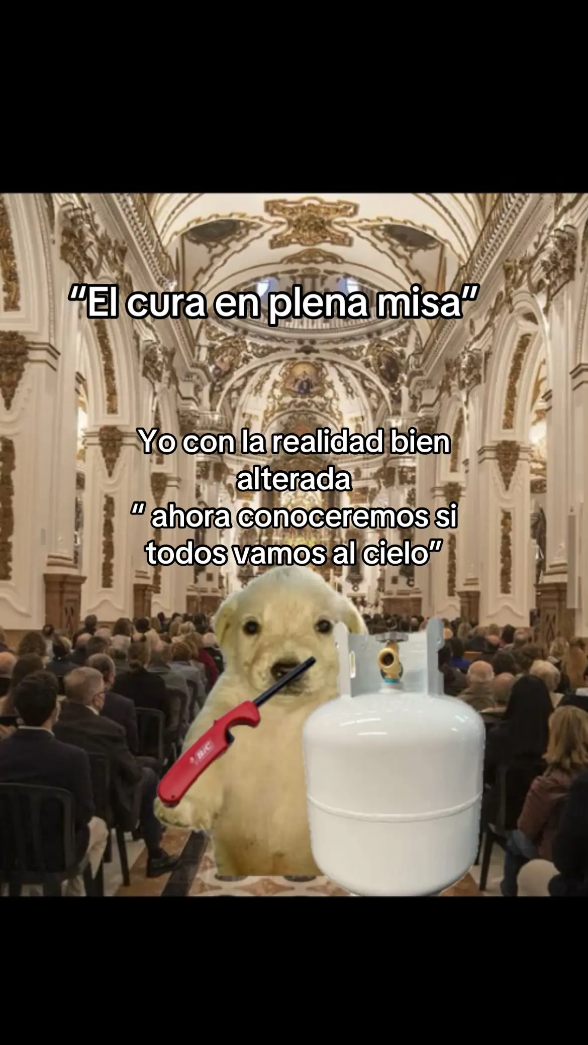 #fyp #cura #paratiiiiiiiiiiiiiiiiiiiiiiiiiiiiiii #memestiktok #humor #perro #viral_video 