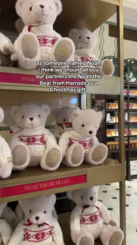 I really like this bear 🐻‍❄️❣️