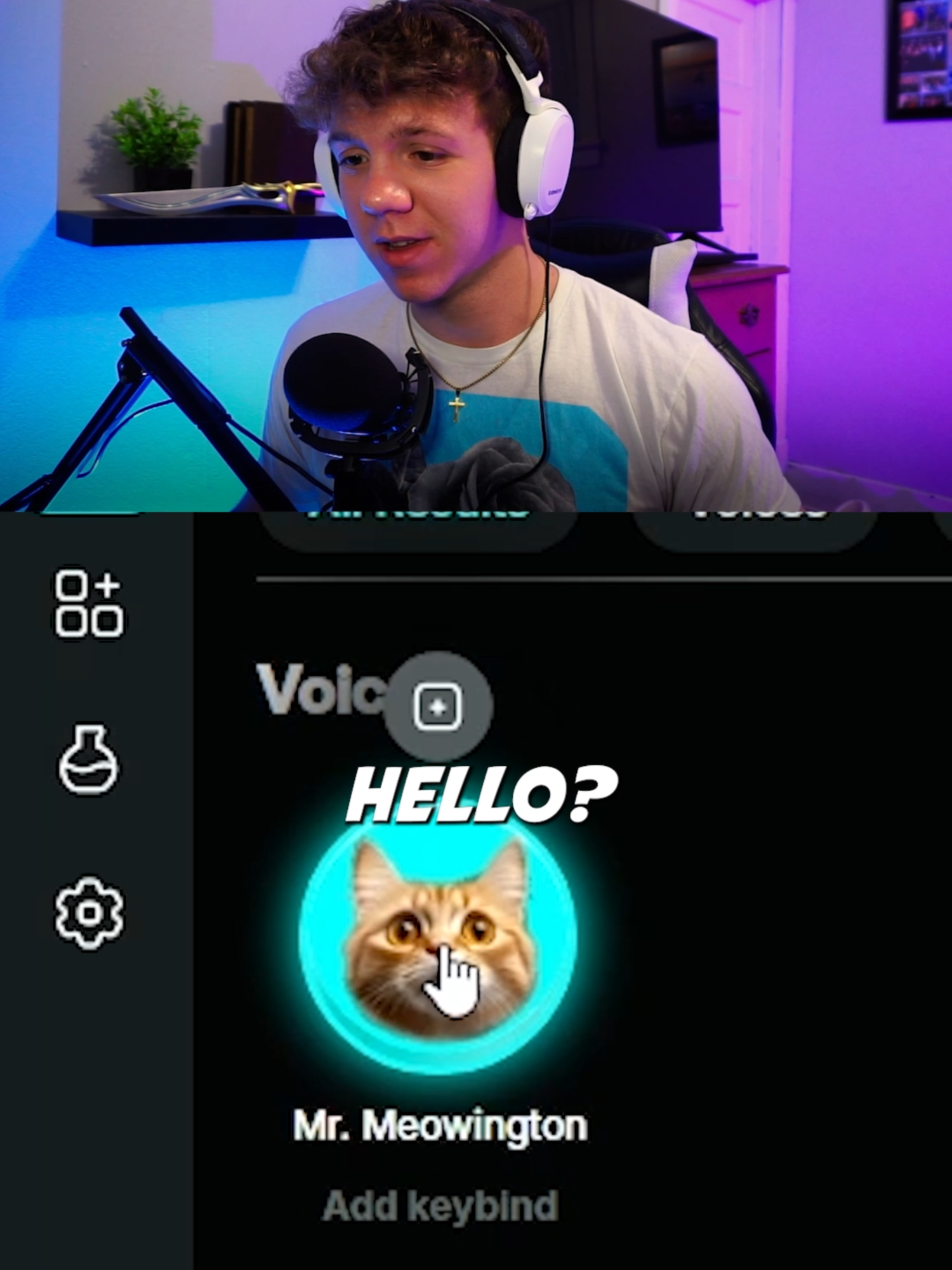 A CAT VOICE CHANGER? 🙀🙀🙀  A MEOW CHANGER??? This is a historic moment. #kitty #tiktokcats #VoiceEffects #gaming #streaming