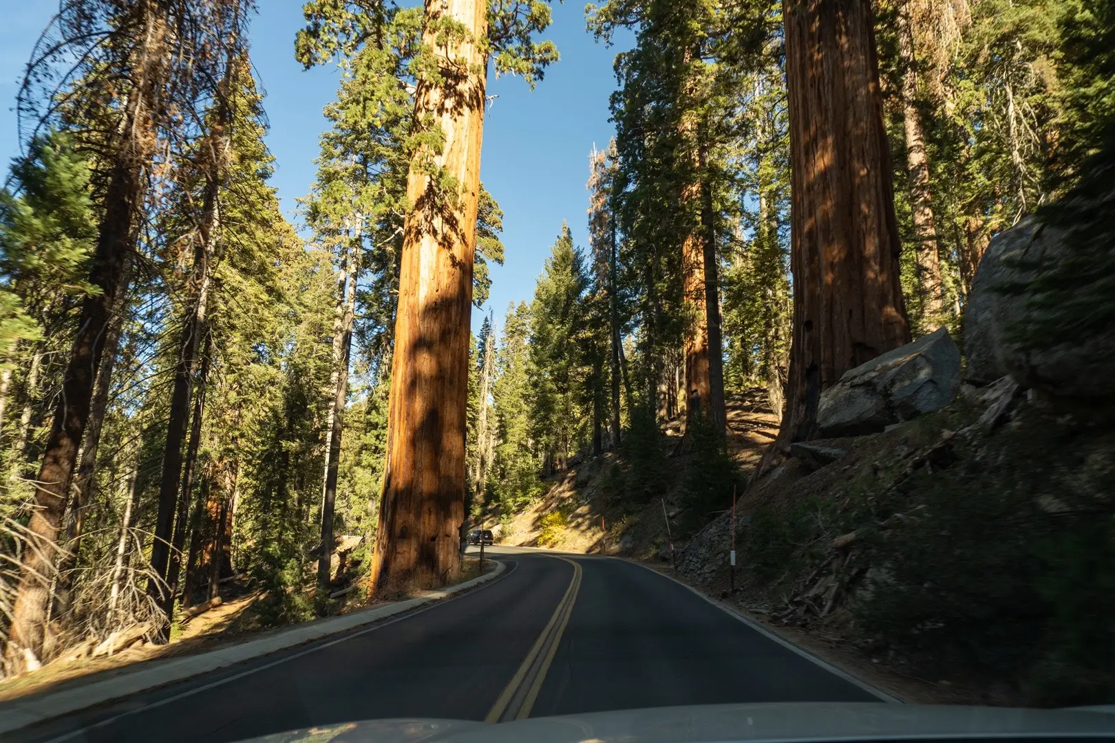 #sequoia #sequoianationalpark #photography #nature 