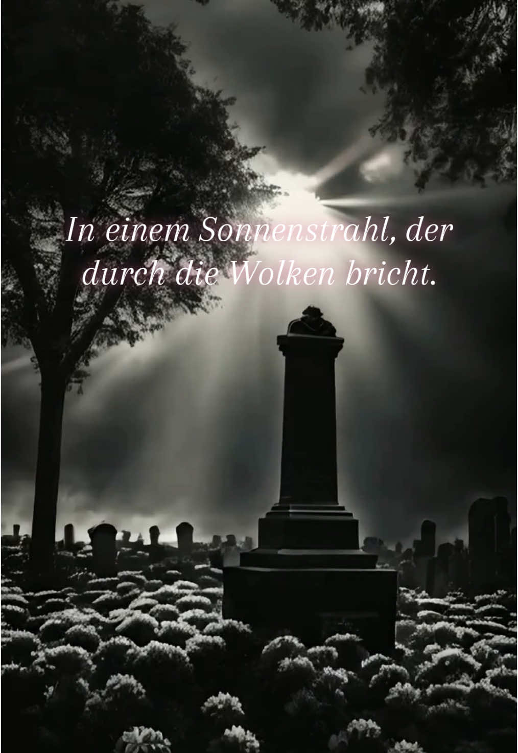 „Lass ein gutes Wort das Letzte sein. Bedenk das Letzte könnts für immer sein“ #letzteworte #traurigesprüche #traurig #trauerundschmerz #rip #ruheinfrieden #messagefromheaven #traurigevideos #schöneworte #friedhof #abschied 