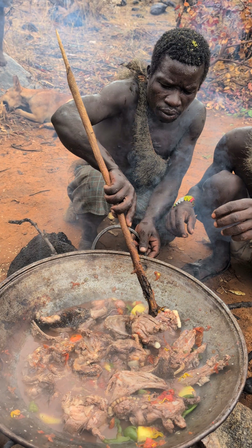 Wow,,it's Porcupine Meal 🔥🤤So delicious food 😋 Hadzabe tribe Bushmen eating lunch time.#culture #africa #traditional 