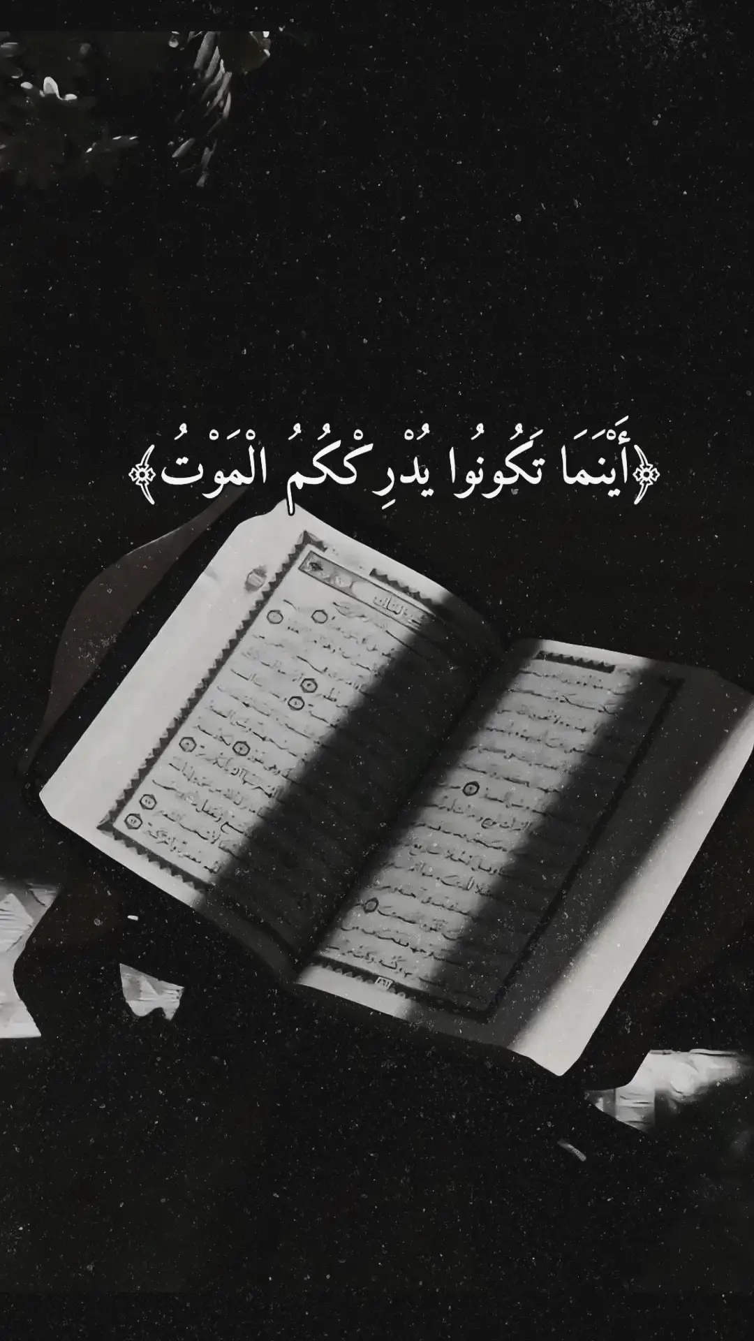 #اكسبلورexplore 