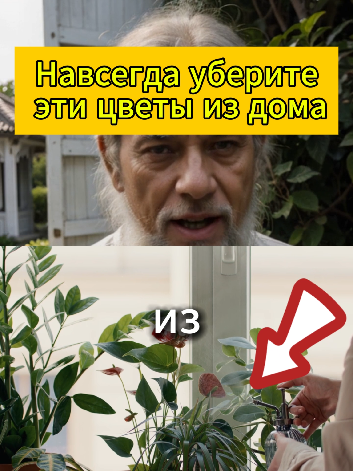 Уберите их из дома