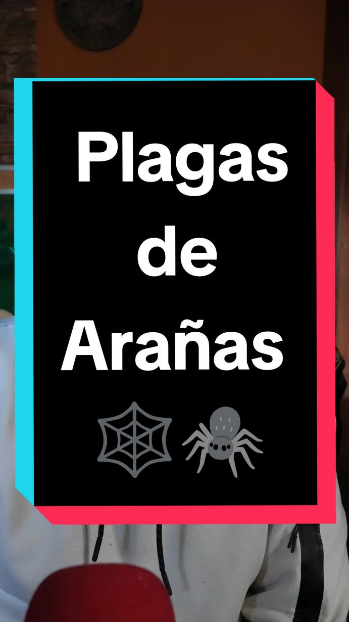 Plaga de Arañas 👽 #plagas #arañas #brujeriasdetiktok #brujeria #brujeriacuantica #limpias #sueños #satanismo  Las plagas de arañas o los sueños con arañas pueden ser un indicativo de brujería. Si las arañas son pequeñas pueden ser enterramientos, rituales de cementerio, muertos. Si las arañas son grandes o venenosas son magias y rituales muy fuertes.  Puede ser un indicativo de vudú, satanismo y magia africana. En el primer caso los volteos de vela negra pueden ser muy efectivo, pero las grandes arañas son trabajos con diablos y las limpiezas energéticas no son suficientes.