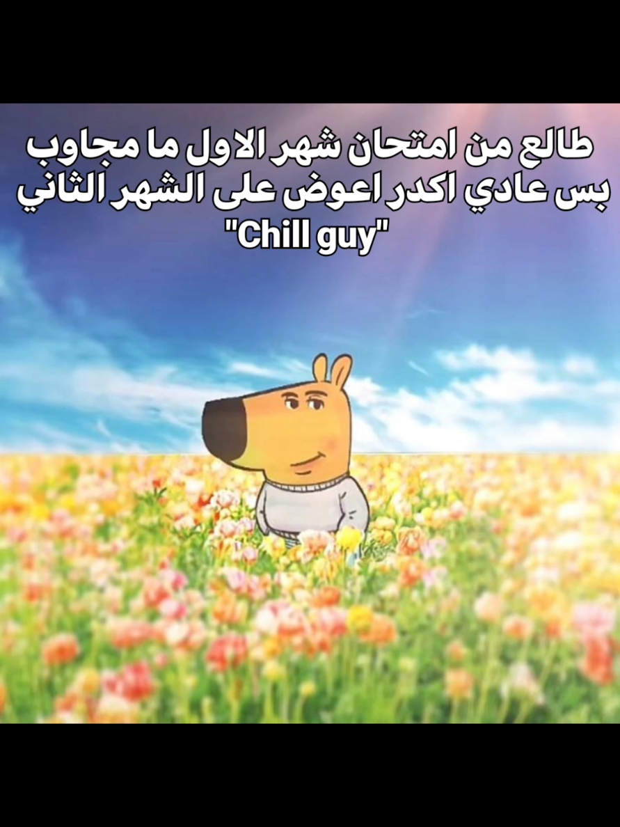 احب اكون رجل هادئ 😌#chillguy #justachillguy #عمار 