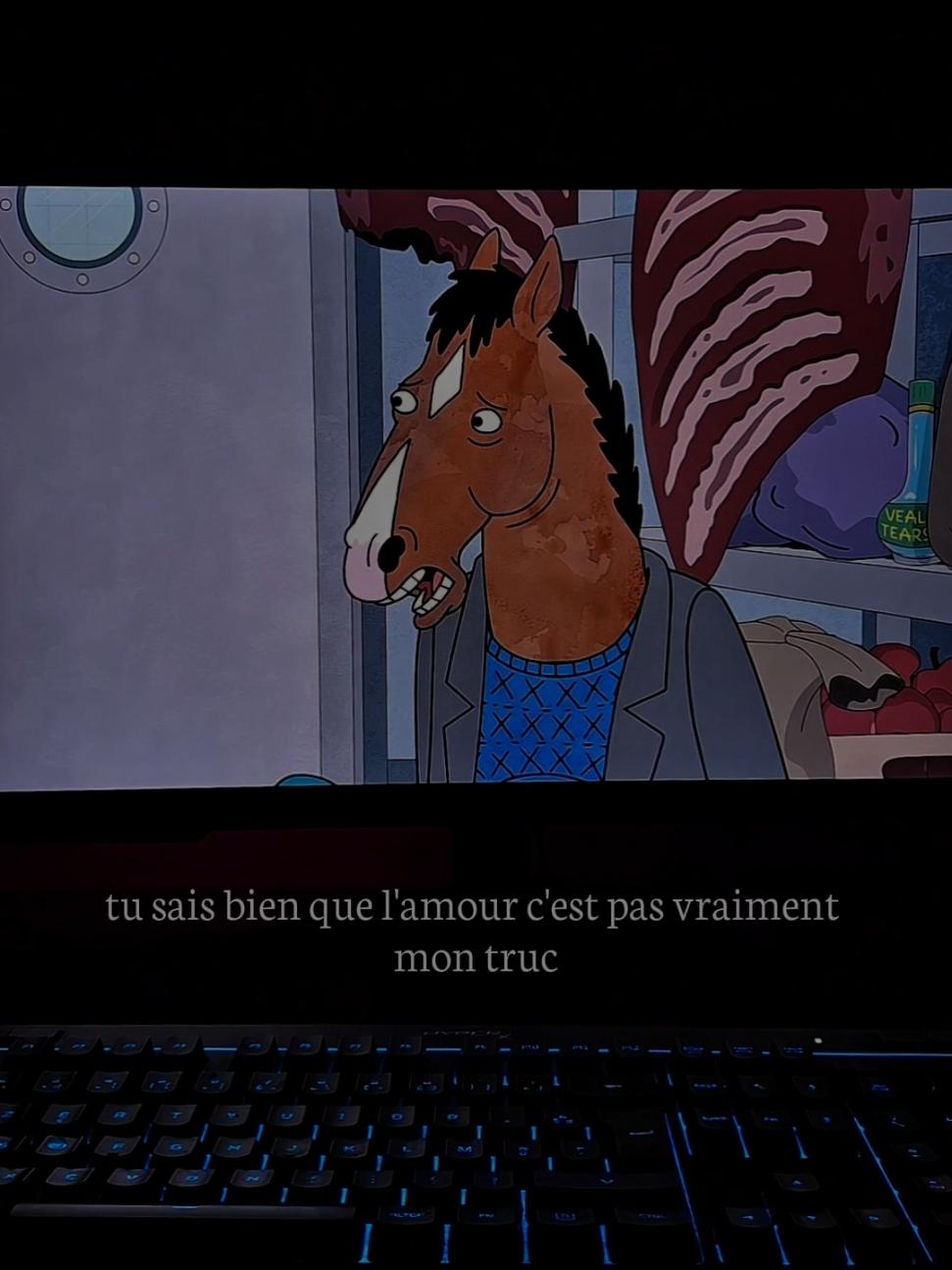 l'amour c'est pas vraiment mon truc... #anime #bojackhorseman #animeedit #sad #Love #citation 