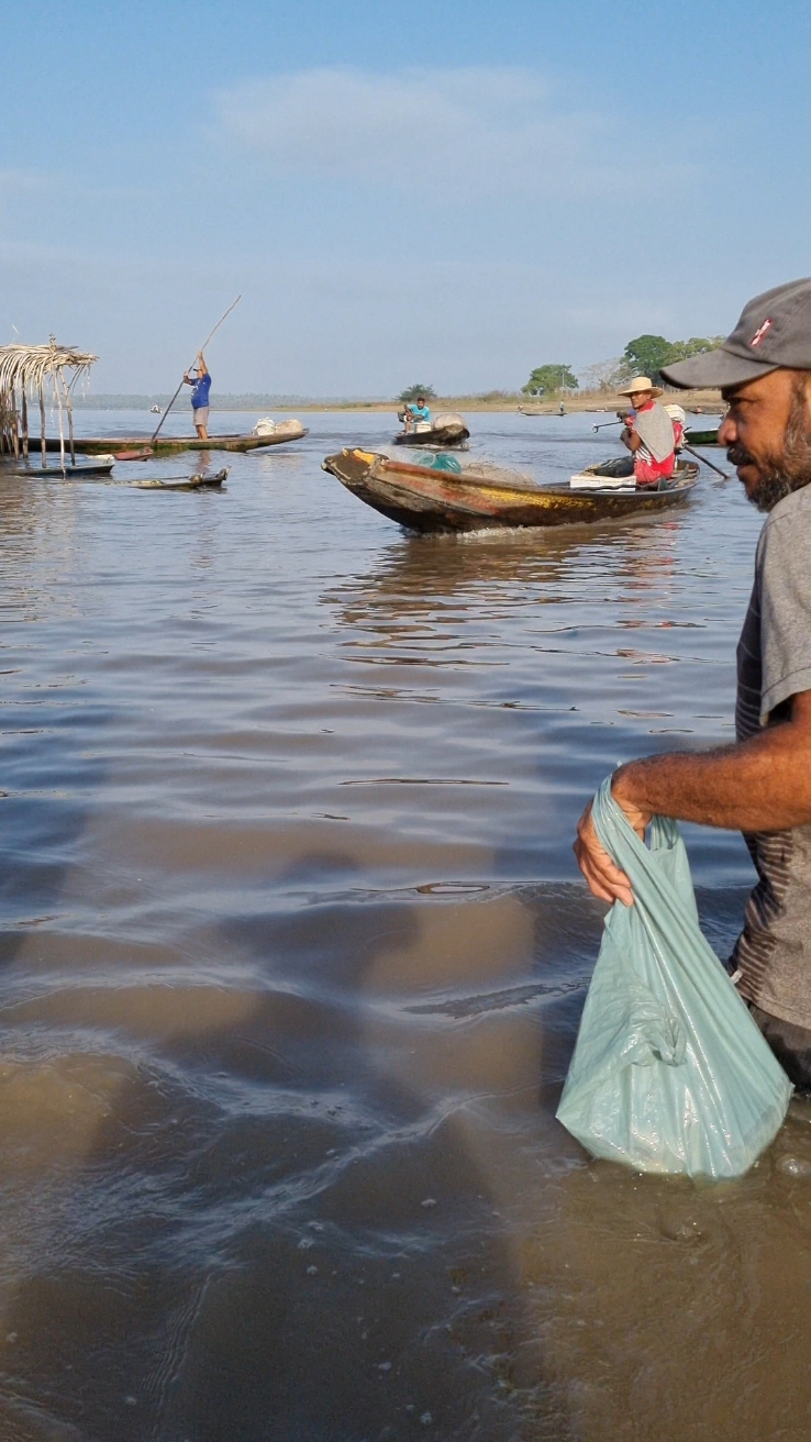 #Cabriteiro #Peixe🐟 #leilão🔥 #Pescador #Maranhão #Penalva #Brasil🇧🇷 