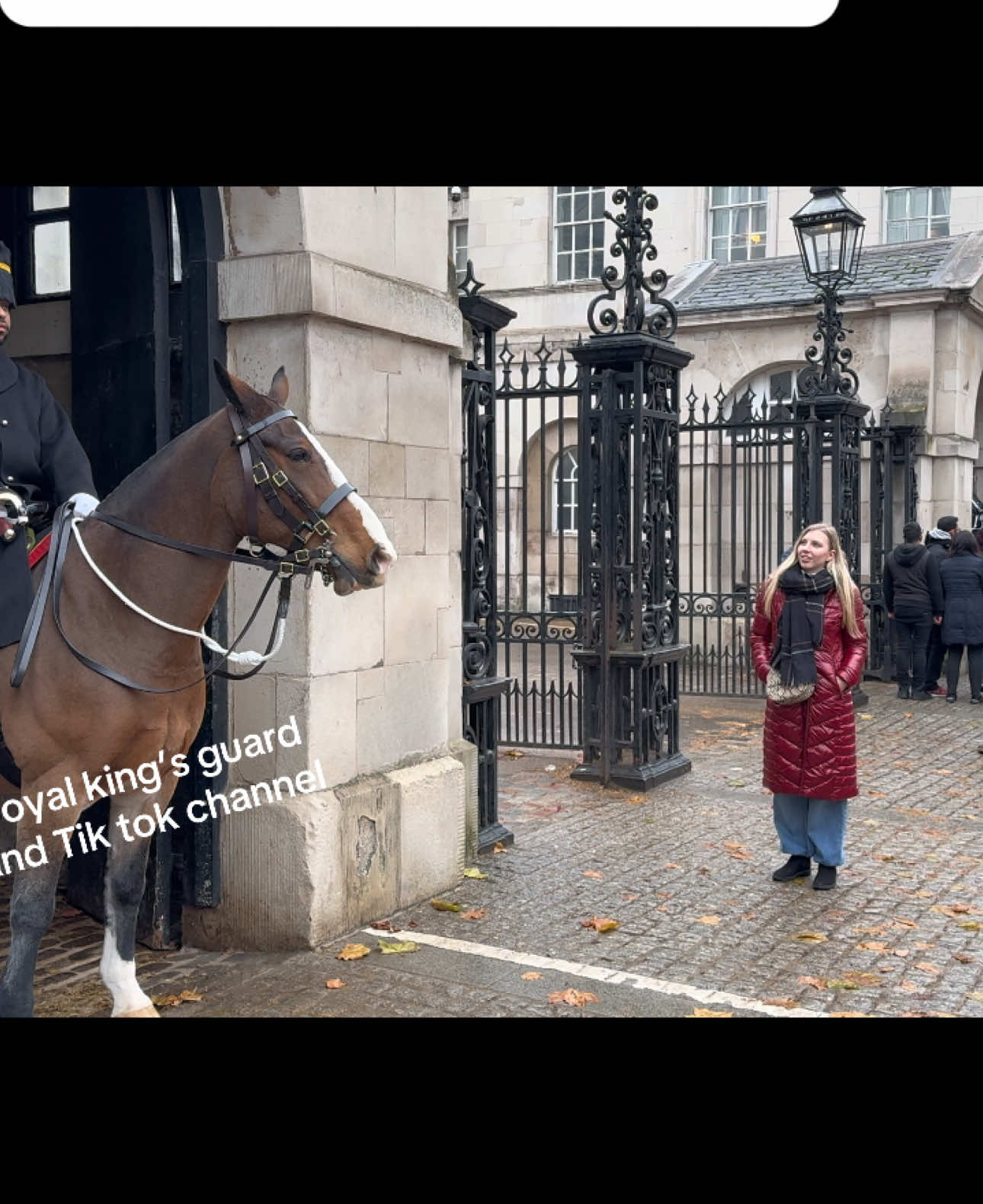 Majestic Majesty: Kings' Horse Guards and the Splendid Views of Horse Guard Parade!