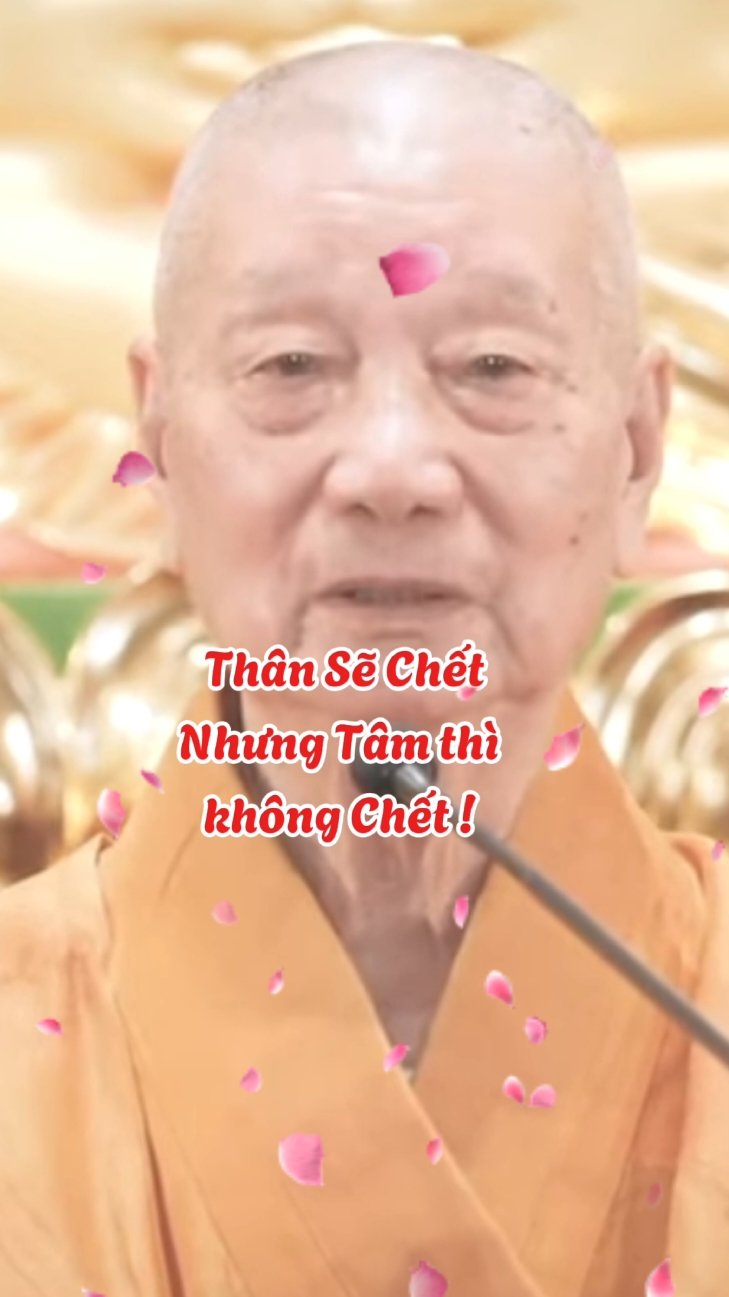 Thân sẽ chết nhưng tâm không bao giờ chờ  #loiPhatday #ThichTriQuang #thongdiepcuocsong #nhungcaunoihay #xuhuongtiktok 