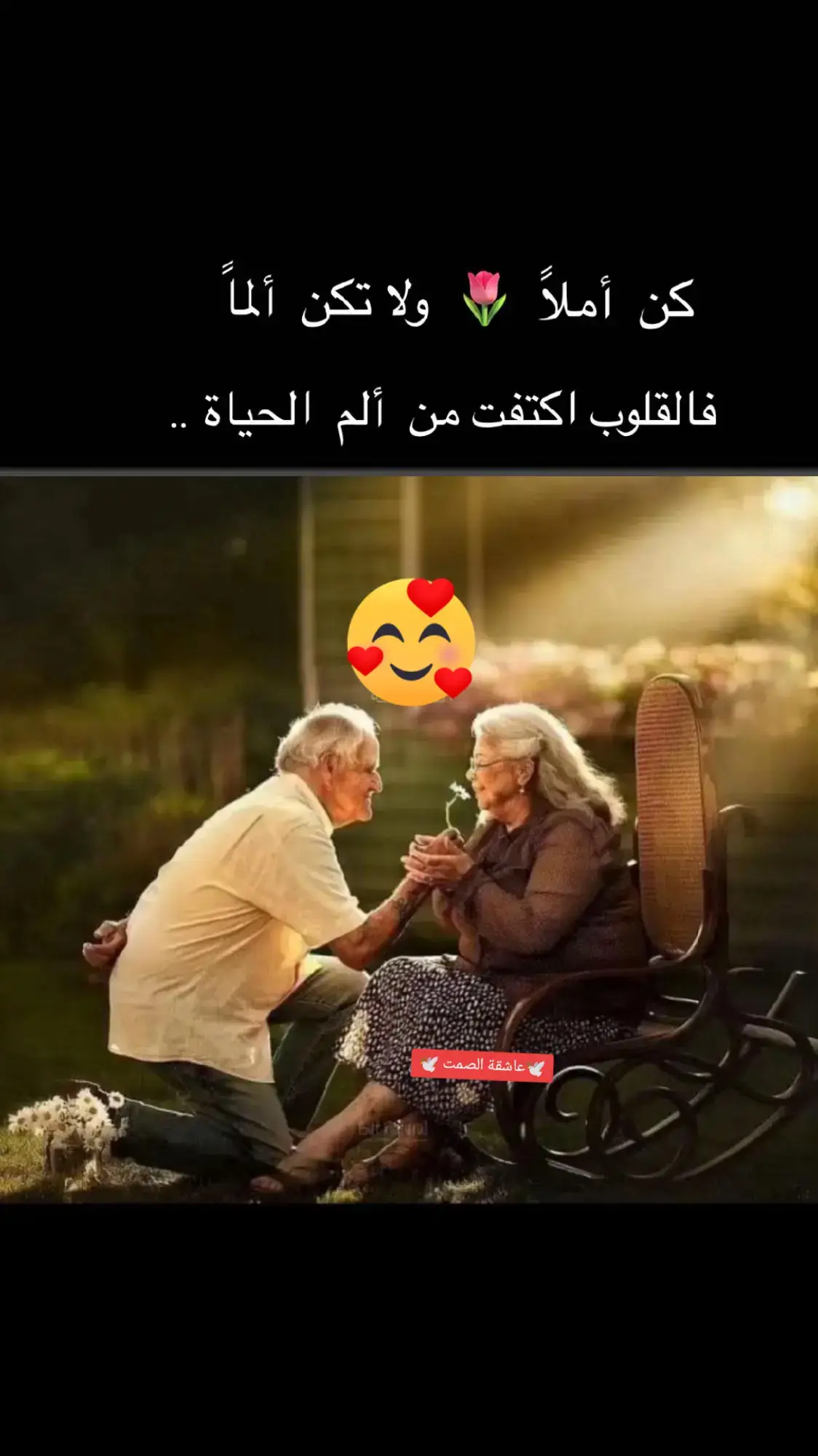 :سأكتفي بجملتين فقط عشقتك منذ البداية وسأحبك حتى النهاية♥️💍