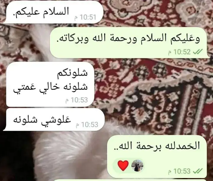 شنو ارد😔