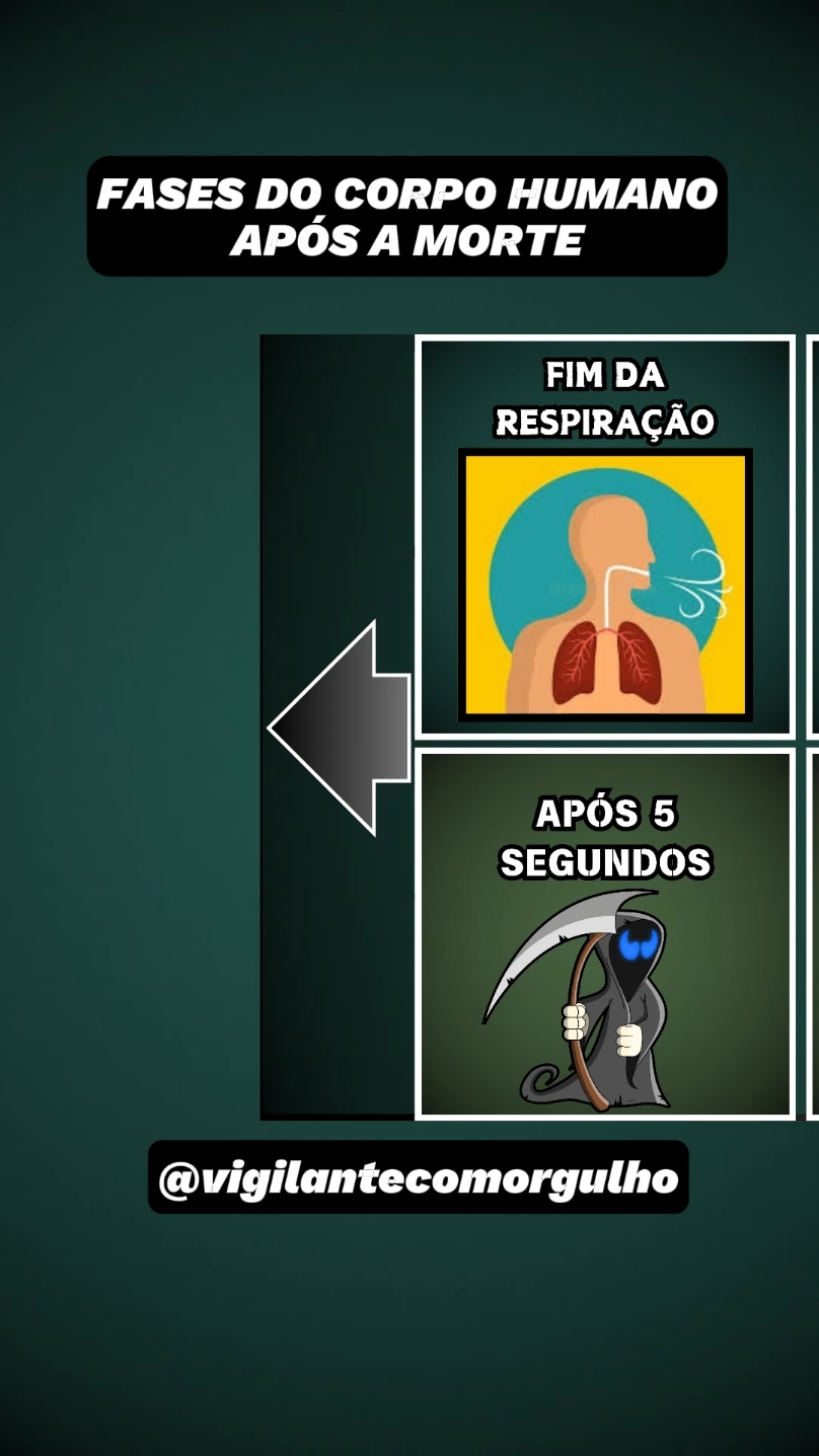 Fases do corpo humano após a morte  #fasesdocorpohumano #corpohumano #corpohumanocuriosidades #porteirodecondominio #porteirosdeplantão #porteiro #vigia #segurancapublica #segurancadeautoridades #segurabçapublica #segurancaprivadadobrasil💀💀💀💀 #vigilantedeku #vigilanteqap #vigilantesdeseguridad #vigilantes #vigilante #vigilantesdeseguridad #vigilantes #vigilantecommuitoorgulho👮🏽‍♀️💪🏻 #tempodevidaemdiferentescondicoes #seguranca #seguranca #estatutodasegurancaprivada #vigia 