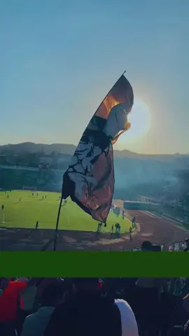 #الشبيبة #zoneultras #jijel #جياسدي💚jsd #ultras #JSD #uff #XI #⚠️ #namra #💀 #ا#الأحرار #11 #الشبيبة الرياضية الجيجلية