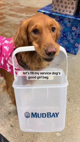 So a lot of you said she needed more treats! So she upgraded to the biggest bin we could find but we had to stop when it was getting too heavy for Autumn🥲 #goldenretriever #servicedogs #servicedogsoftiktok #lifewithmyservicedog #servicedogs #weshareeverything #disabled #dogwithjob #goodgirls #dogsoftiktok #wheelchairlife #wheelchairuser #mygirl 