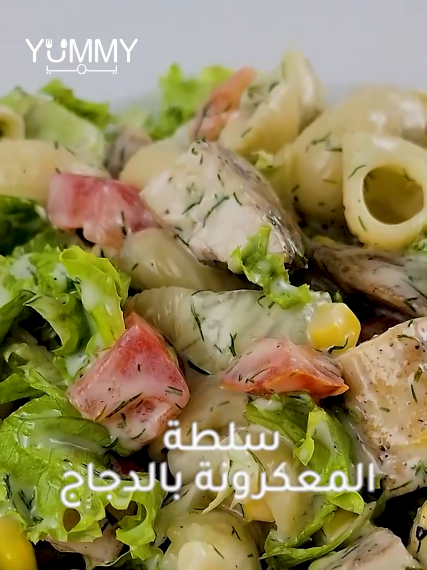 حضري سلطة المعكرونة والدجاج بأسهل وأسرع طريقة ✨❤ #طبخ #وصفات #Recipe #اكسبلور #fyp #explore #Salad #saladrecipe #سلطة #tiktokcookbook