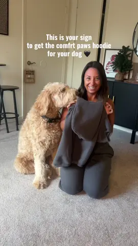 Every dog deserves to feel comfortable in a comfrt paws hoodie! #goldendoodle #comfrtpaws #comfrt #dogmomlife #dogclothes 