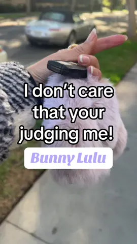 Eveey women needs a bunny lulu. I dont care what anyone says.  #BunnyLulu #BunnyLuluStyle #treasurefinds #tiktokshopgifts #cutegiftidea #giftforher #tiktokshopblackfriday