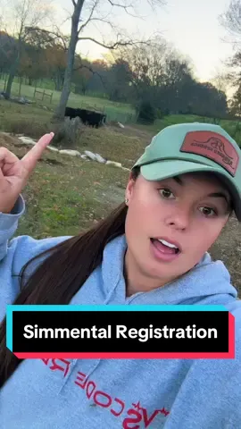 Yes, babies born to commercial cows can still be registered!🐮 #simmentalcattle #simmental 