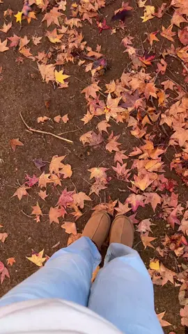 Súper cómodos 😍 @Sergio Gaytan 