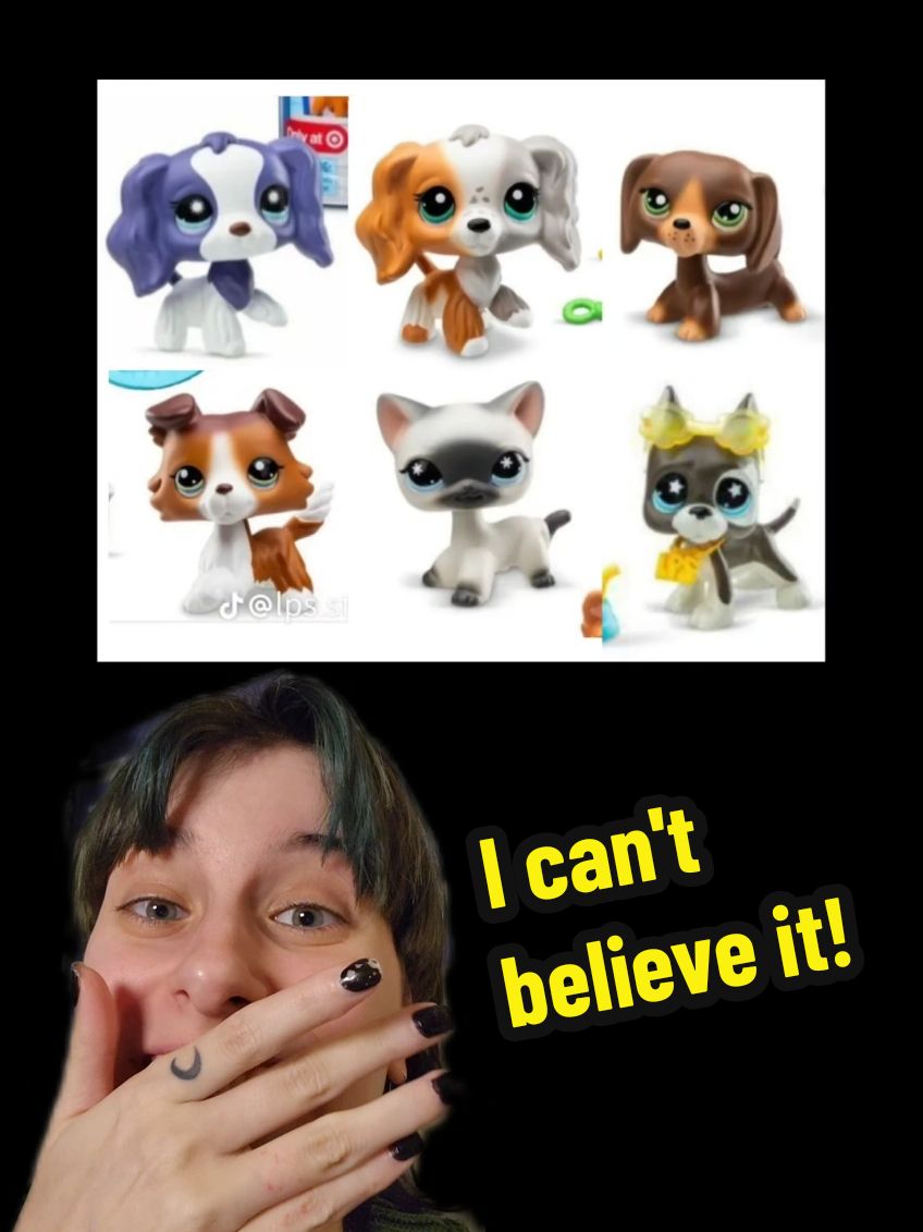 BRB my inner child is crying 🥺 @stef 🐾🎀 for the photos! #littlestpetshop #lpsnews #leaks #g7lps #newlps #main5lps #lpstok #lpsg2 #greenscreen #littlestpetshopcommunity #shorthaircat #dashund #lpscollie #cockerspaniel #greatdane #toys #collection #nostlagia 