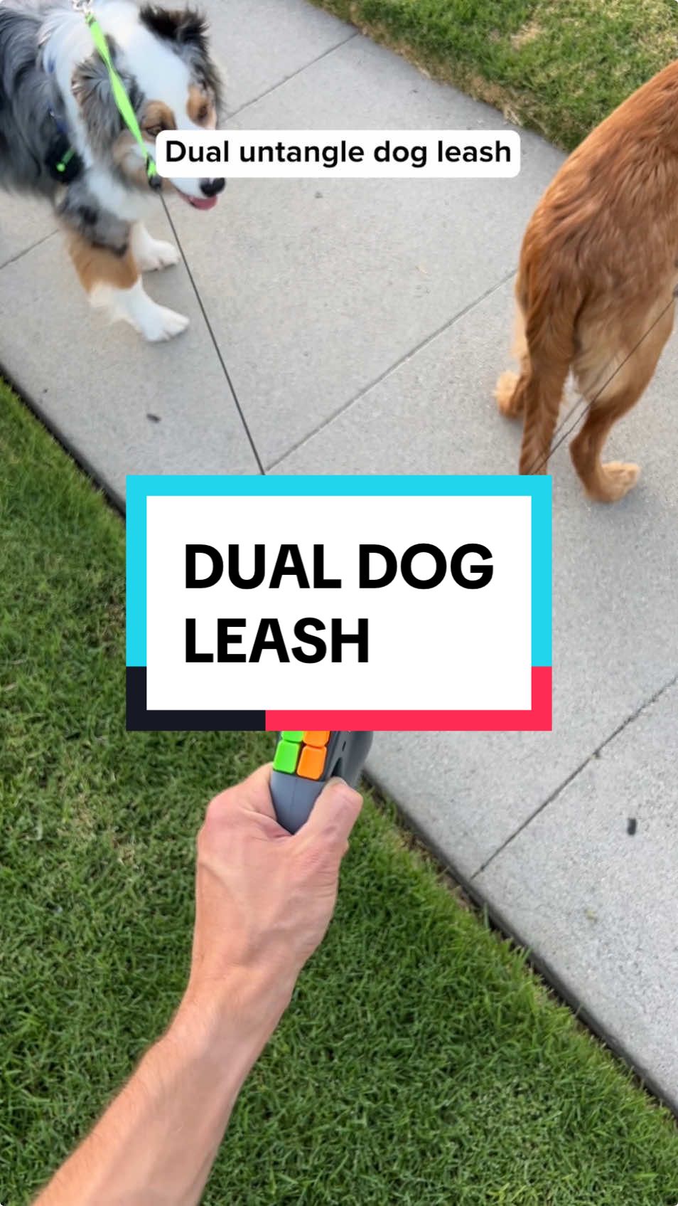 Would u get this? 🐶🤔 #dog #dogsoftiktok #doglover #pet #pets #doghack #dogtok #dogwalking #dogmom #leash 