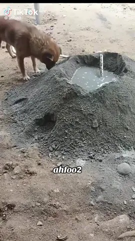 ai thấy cảnh này đâu