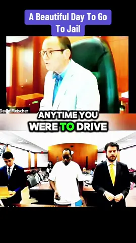 A Beautiful Day To Go To Jail #court #judge #crime #lawyer #fyp #viral_video #usa🇺🇸 
