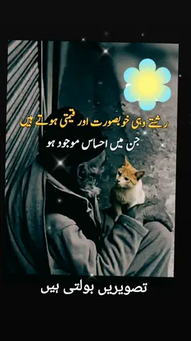 اگر ہمارے گِرد موجود ہر شخص ماہرِ احساس ہوتا تو ماہرِ نفسیات کی ضرورت کبھی نہ پڑتی۔۔۔! #⚘⚘ #ehsas #virale 