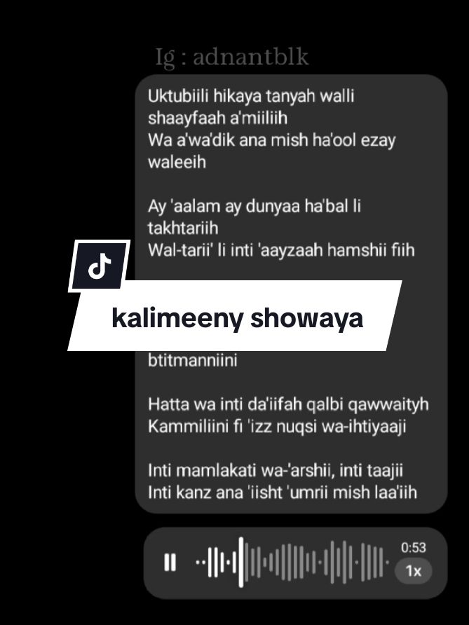 Membalas @user781111586514 kalau suka jangan lupa paket lengkap yoo 🤗 #arabicsong #kalimeenyshowaya  #fyp #trending 