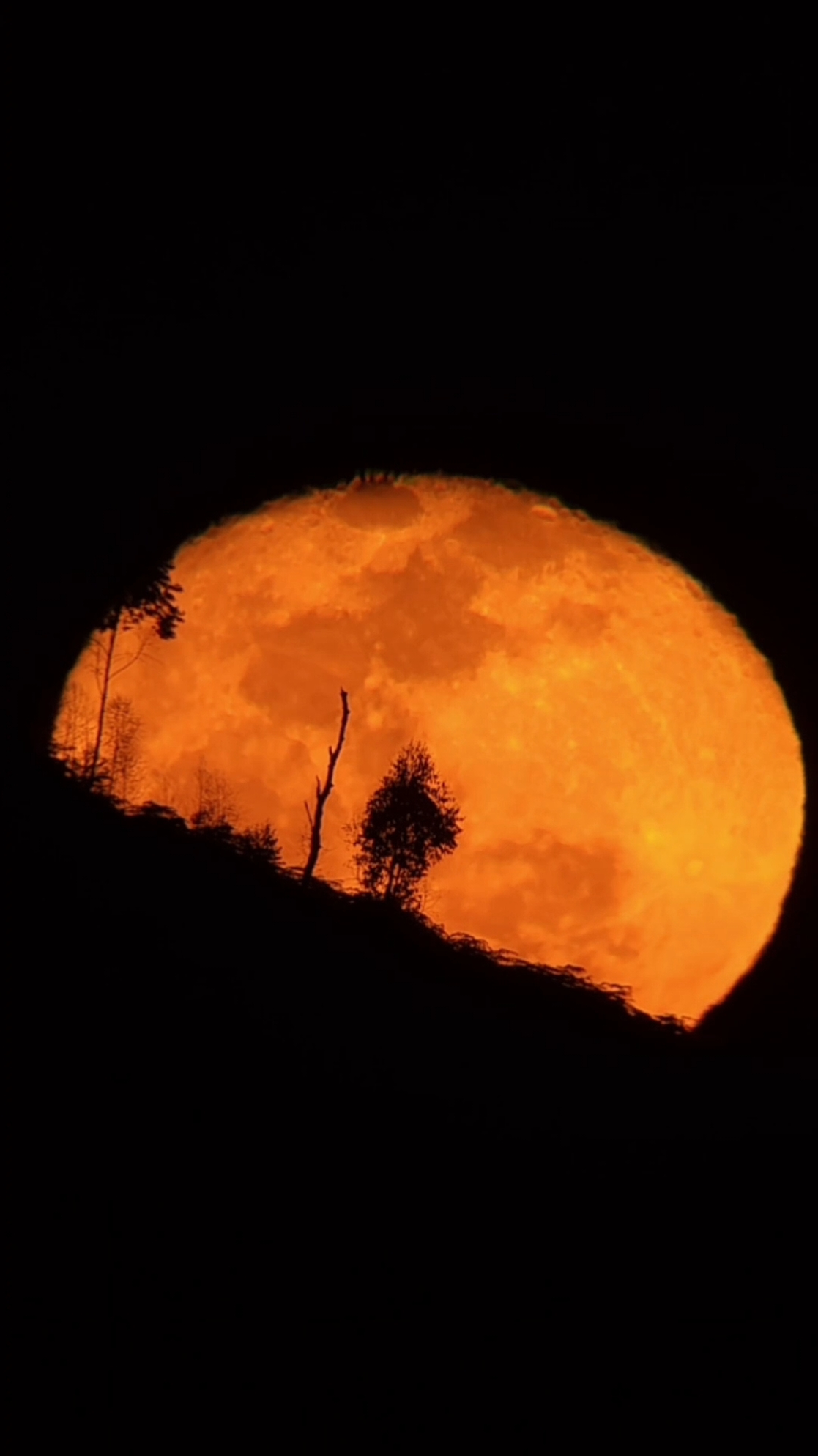 ❤️🌕