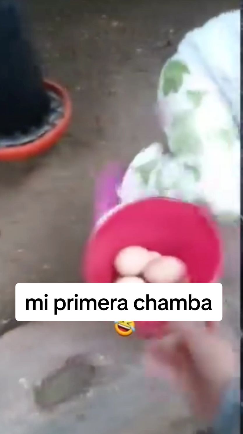 Mi primera chamba 😭🤣 #chiste 