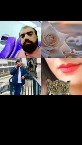 #LIVEhighlights #TikTokLIVE #LIVE  @X K  #thanks 