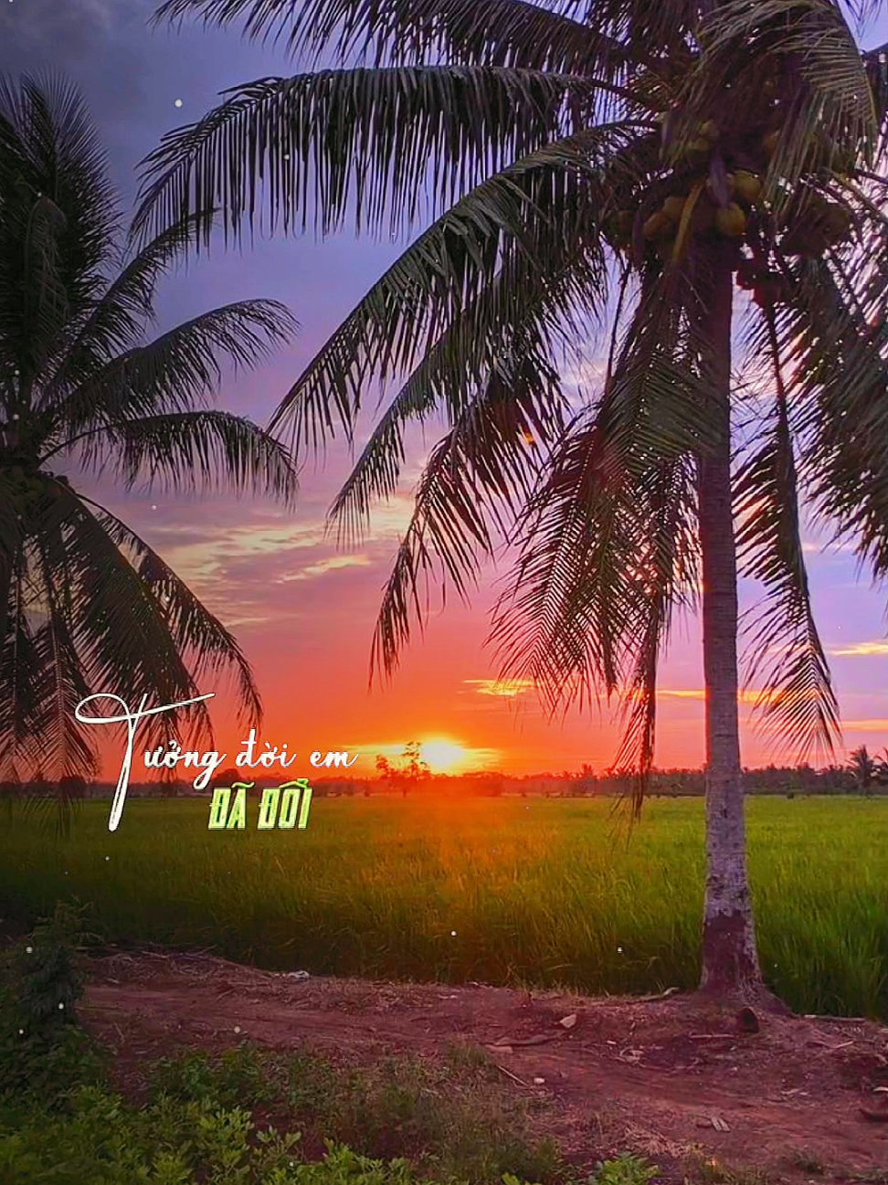 BAO NĂM DẦN TRÔI TƯỞNG ĐỜI EM ĐÃ ĐỔI... #mientay #trend #xuhuong #xh #xuhuongtiktok #hoanghon #sunset #canhdep_65 #canhdep #mientay #nhachaymoingay #nhachay #nhactamtrang #xuhuong #xh #nhacnaychillphet #nhacbolero #CapCut 