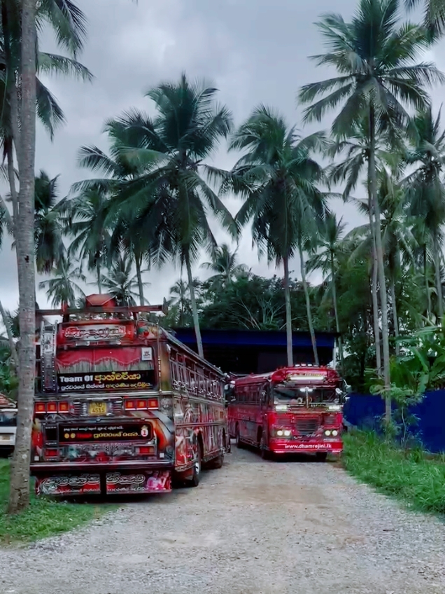 කලාවේ දැවැන්තයෝ හැඩ වෙන  ලංකාවේ එකම තැන @alankara automotive මිද්දෙනිය 💜️😍 0758899999 - #අලංකාර_automotive  #රැd_official #srilanka #bus #fyp #foryoupage #modified #foryou #fypシ #දම්_රැජිණි_4110💜️💜️kyile 